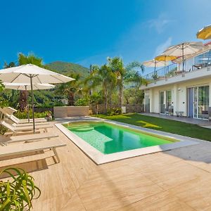 Luxury Dreams